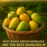 Bangladeshi Mangoes Are the Best Mangoes in the World