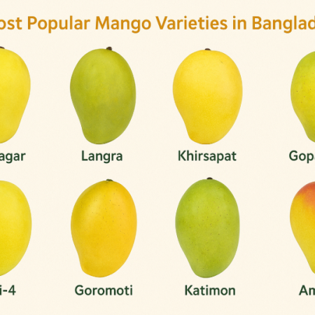 Exploring the 8 Most Popular Mango Varieties in Bangladesh