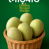 Best Gourmoti Mango in Bangladesh-GKA