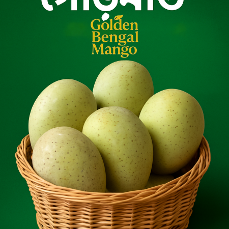 Best Gourmoti Mango in Bangladesh-GKA