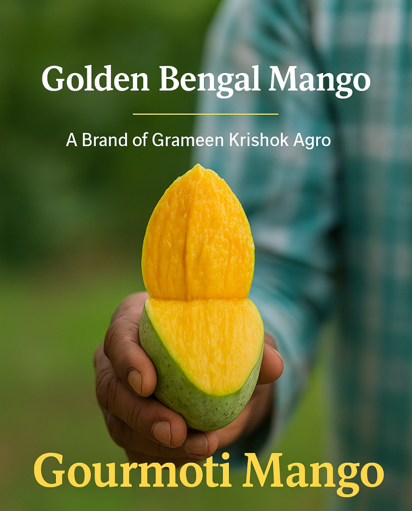 Best Gourmoti Mango in Bangladesh-grameen krishok agro-Rajshahi-chapai